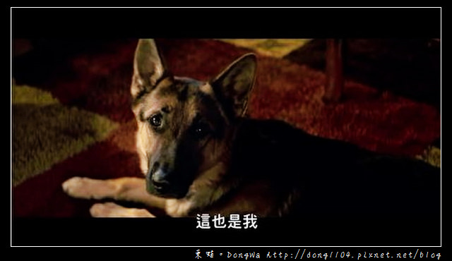 【電影心得】警告！！本片有滿滿的洋蔥！！【為了與你相遇】每隻毛小孩的存在都有意義