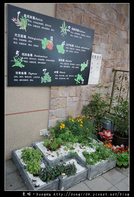 【桃園食記】桃園龜山法式料理|水耕蔬菜結合義大利麵的美味|Bistro 181法國餐廳