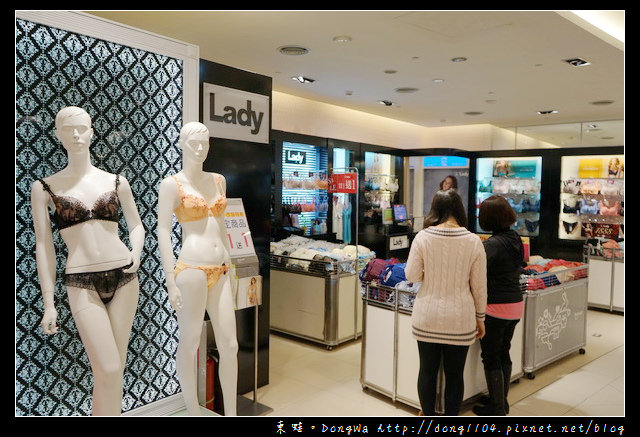 【開箱心得】 Lady 法式精品內衣| LADY 燦亮星影系列 集中托高機能調整型內衣