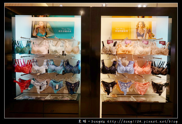【開箱心得】 Lady 法式精品內衣| LADY 燦亮星影系列 集中托高機能調整型內衣