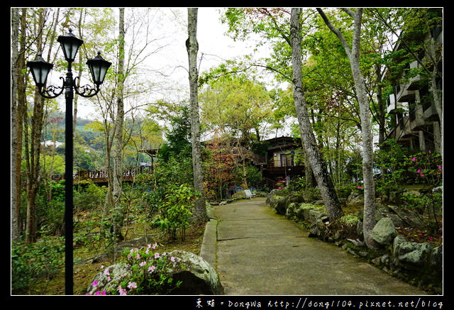 【苗栗泡湯】台灣蜜月旅行住宿好選擇|泰安溫泉 蜜月套房+鱘龍魚火鍋|湯之島虎山溫泉會館