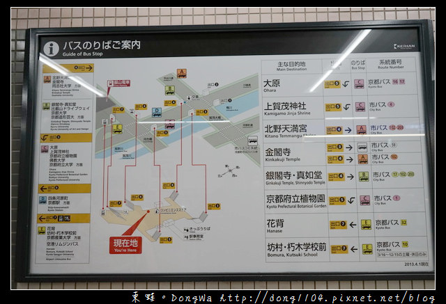 【大阪自助/自由行】京都賞櫻景點推薦|出町柳長德寺阿龜櫻 おかめ桜