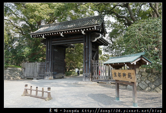 【大阪自助/自由行】京都賞櫻景點推薦|丸太町京都御苑枝垂櫻 寒紅梅