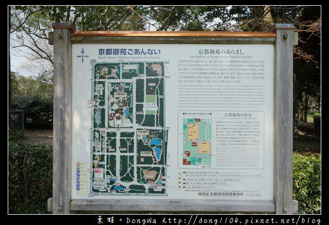【大阪自助/自由行】京都賞櫻景點推薦|丸太町京都御苑枝垂櫻 寒紅梅