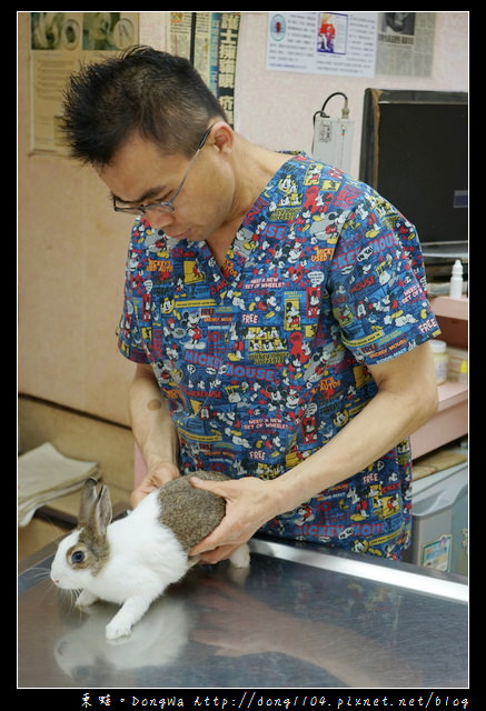【基隆寵物醫院推薦】小動物免費健康檢查|基隆寵物醫院-汎汶動物醫院