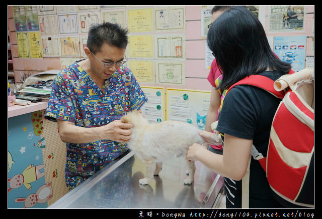 【基隆寵物醫院推薦】小動物免費健康檢查|基隆寵物醫院-汎汶動物醫院