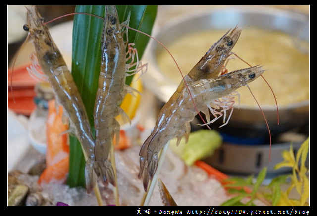 【宜蘭食記】宜蘭市火鍋|現殺海鮮+特色港點|富美海鮮火鍋