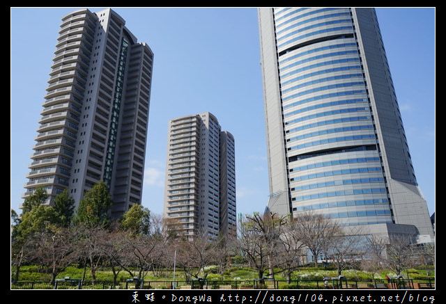 【大阪自助/自由行】大阪周遊卡免費景點 櫻花季節限定|大川櫻花遊覽船 大川さくらクルーズ