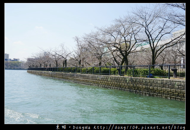 【大阪自助/自由行】大阪周遊卡免費景點 櫻花季節限定|大川櫻花遊覽船 大川さくらクルーズ