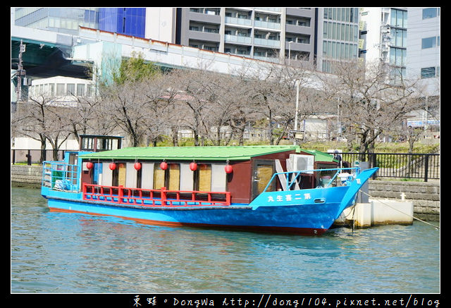 【大阪自助/自由行】大阪周遊卡免費景點 櫻花季節限定|大川櫻花遊覽船 大川さくらクルーズ