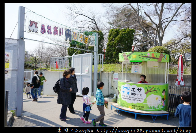 【大阪自助/自由行】大阪周遊卡免費景點|親子旅行景點推薦|天王寺動物園