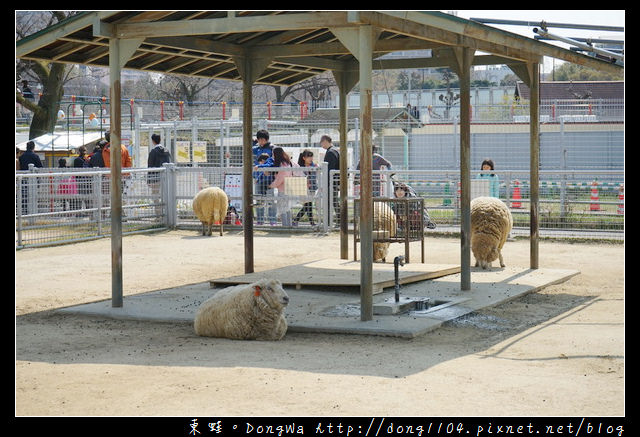 【大阪自助/自由行】大阪周遊卡免費景點|親子旅行景點推薦|天王寺動物園