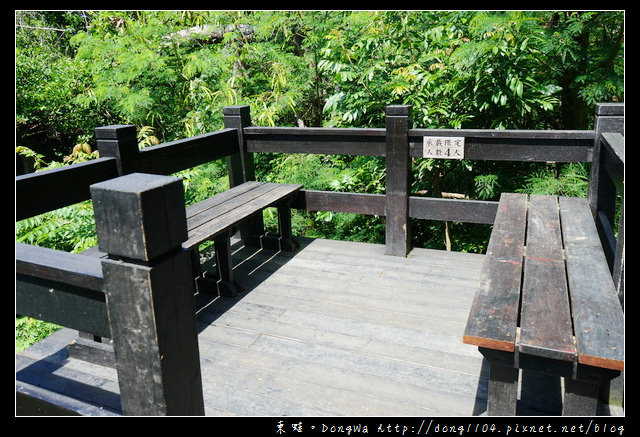 【台東遊記】台東免費景點|輕鬆飽覽台東市區風景|鯉魚山登山步道