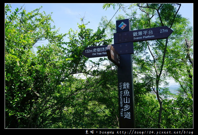 【台東遊記】台東免費景點|輕鬆飽覽台東市區風景|鯉魚山登山步道