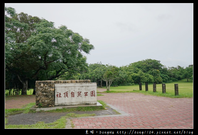 【屏東遊記】恆春生態遊旅推薦 豐富的動植物生態|社頂部落夜間生態遊程之旅