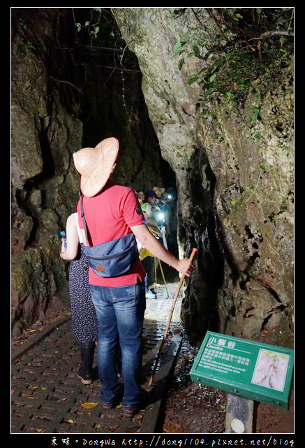 【屏東遊記】恆春生態遊旅推薦 豐富的動植物生態|社頂部落夜間生態遊程之旅