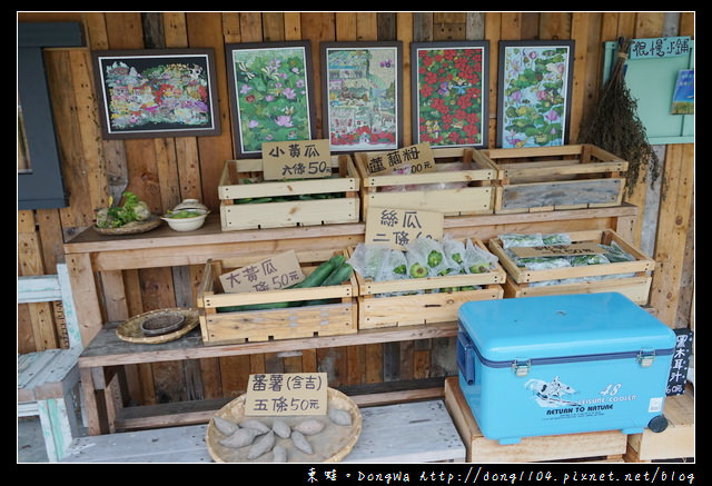 【台南遊記】後壁土溝景點推薦|繽紛藝術大型創作 IG打卡熱門景點|優雅農夫藝文農場