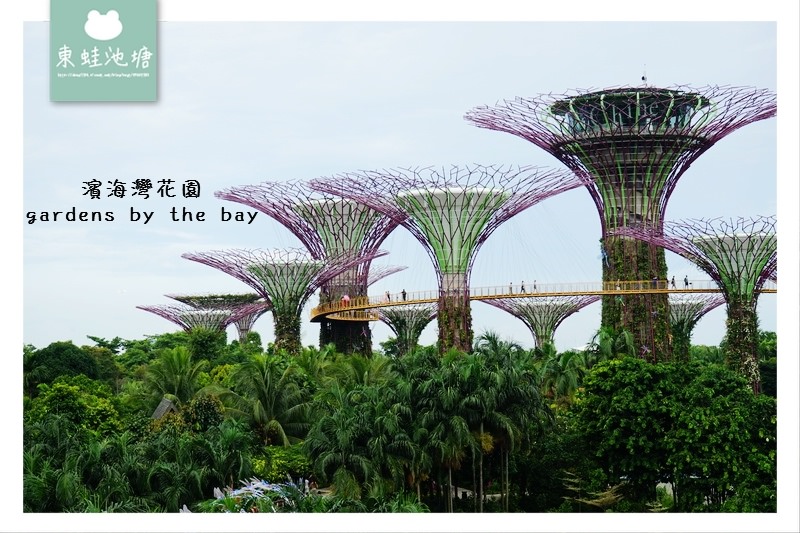 【新加坡免費景點推薦】Gardens by the Bay 濱海灣花園 SUPERTREE GROVE