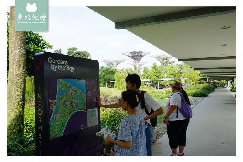 【新加坡免費景點推薦】Gardens by the Bay 濱海灣花園 SUPERTREE GROVE