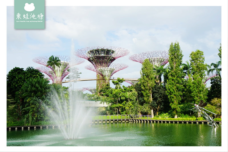 【新加坡免費景點推薦】Gardens by the Bay 濱海灣花園 SUPERTREE GROVE