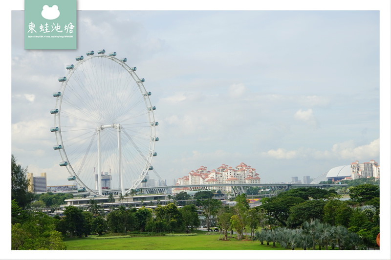 【新加坡免費景點推薦】Gardens by the Bay 濱海灣花園 SUPERTREE GROVE