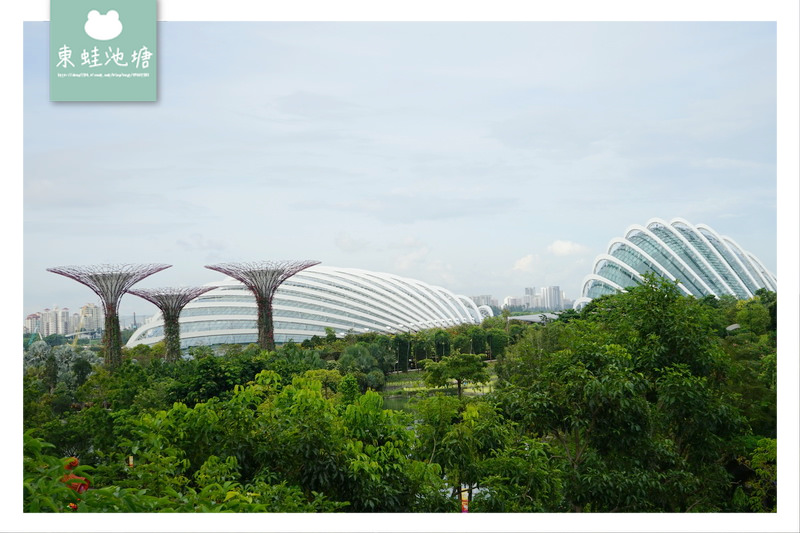 【新加坡免費景點推薦】Gardens by the Bay 濱海灣花園 SUPERTREE GROVE