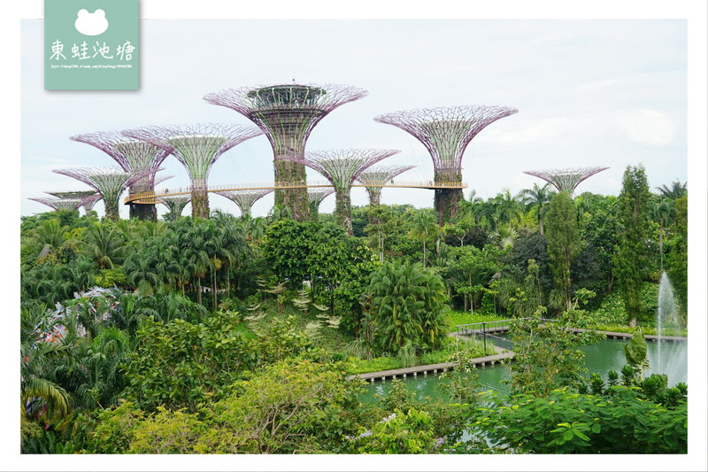 【新加坡免費景點推薦】Gardens by the Bay 濱海灣花園 SUPERTREE GROVE