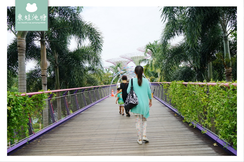 【新加坡免費景點推薦】Gardens by the Bay 濱海灣花園 SUPERTREE GROVE