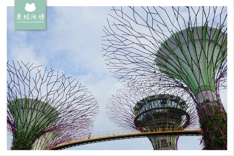 【新加坡免費景點推薦】Gardens by the Bay 濱海灣花園 SUPERTREE GROVE