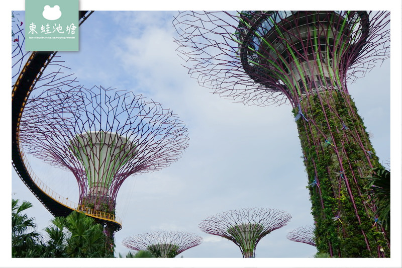 【新加坡免費景點推薦】Gardens by the Bay 濱海灣花園 SUPERTREE GROVE