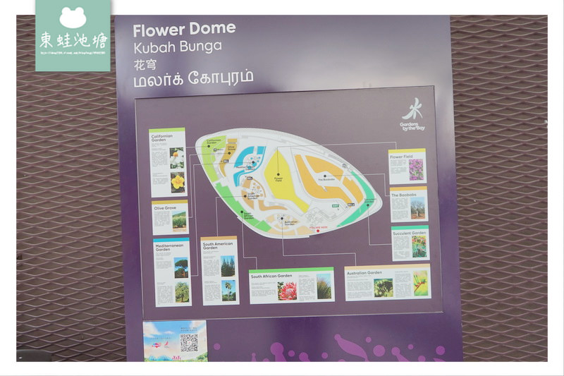 【新加坡必訪景點推薦】濱海灣花園植物冷室：Cloud Forest 雲霧林、Flower Dome 花穹