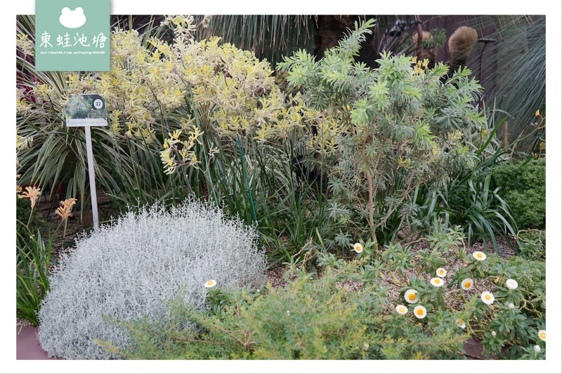 【新加坡必訪景點推薦】濱海灣花園植物冷室：Cloud Forest 雲霧林、Flower Dome 花穹