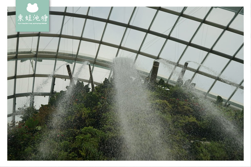 【新加坡必訪景點推薦】濱海灣花園植物冷室：Cloud Forest 雲霧林、Flower Dome 花穹