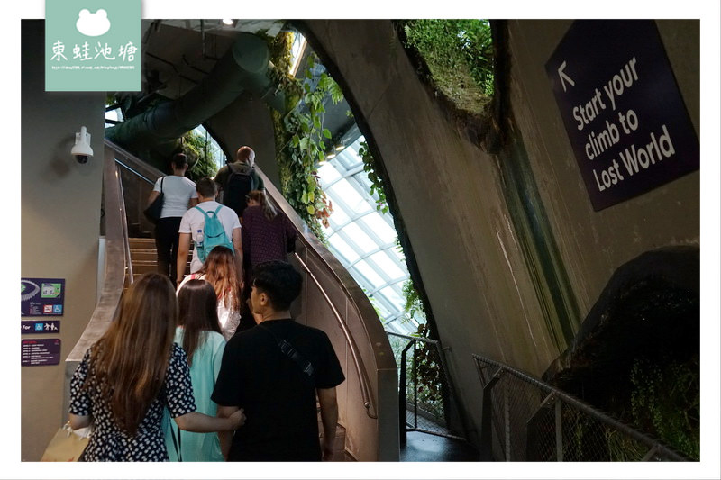 【新加坡必訪景點推薦】濱海灣花園植物冷室：Cloud Forest 雲霧林、Flower Dome 花穹