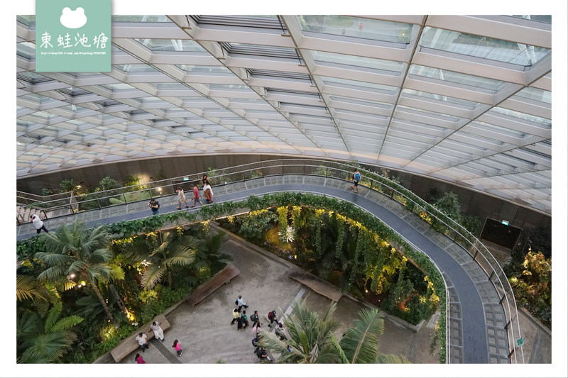 【新加坡必訪景點推薦】濱海灣花園植物冷室：Cloud Forest 雲霧林、Flower Dome 花穹