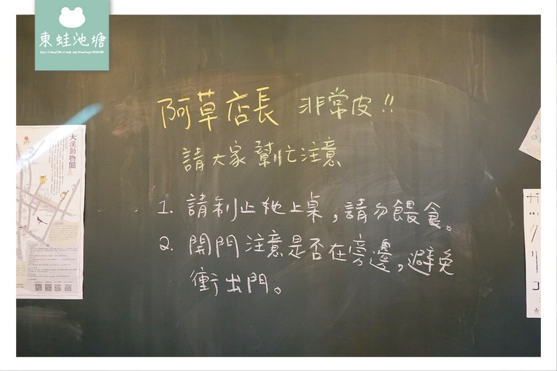 【大溪咖啡館推薦】貓咪咖啡廳 大溪湧泉水手沖咖啡 大溪草店尾事務所