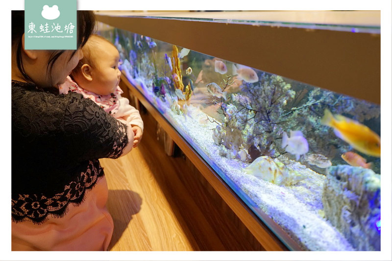 【桃園蘆竹南崁一夜干專賣】特色吧台水族箱 免費鹽麴魚片湯 千夜一夜干丼飯