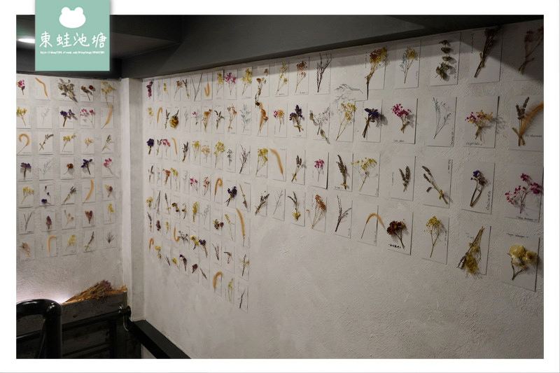 【蘆洲餐酒館推薦】IG花牆打卡 精緻義式料理 WOW Bistro 蘆洲店 旺．慢食餐酒館