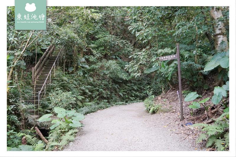 【台北大安區免費景點推薦】富陽自然生態公園 親子親近大自然的好選擇 好停車