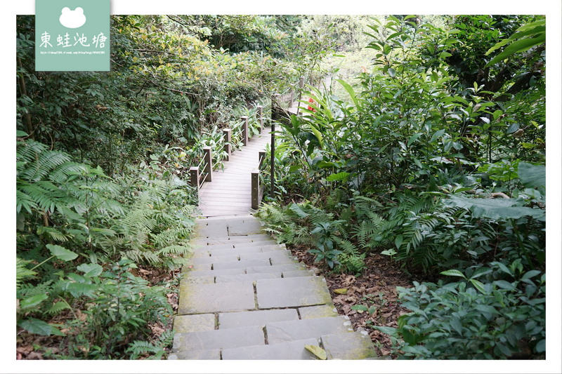 【台北大安區免費景點推薦】富陽自然生態公園 親子親近大自然的好選擇 好停車