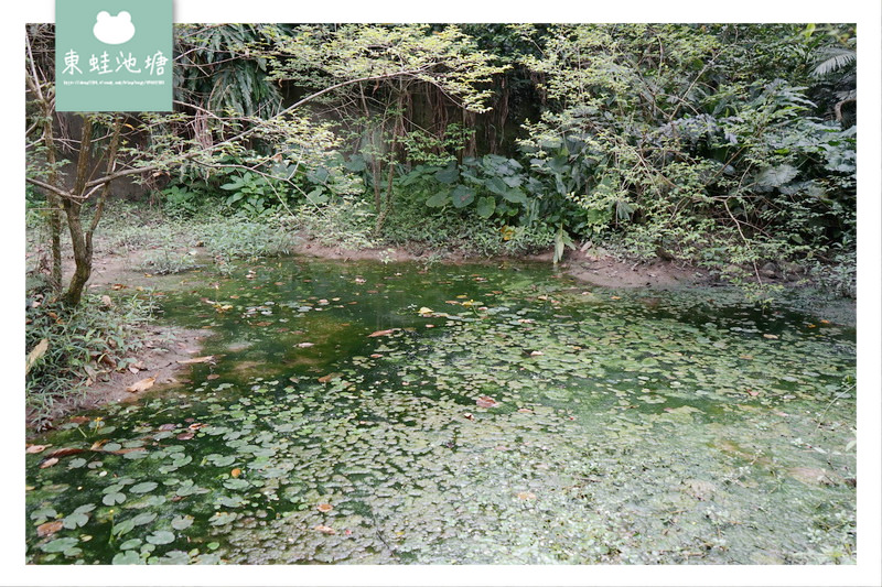 【台北大安區免費景點推薦】富陽自然生態公園 親子親近大自然的好選擇 好停車