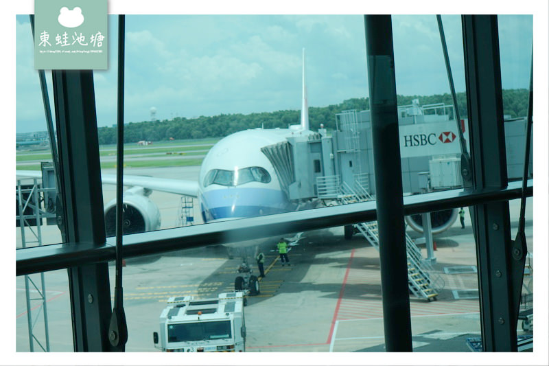 【新加坡自由行最後一站】新加坡樟宜機場第三航廈 各國美食通通有 華航A350帝雉號