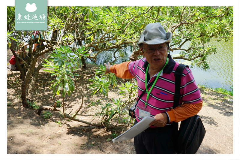 【苗栗竹南景點導覽推薦】五行文化低碳旅遊 竹南濱海森林遊憩區 官義渡生態公園 塭內社區發展協會