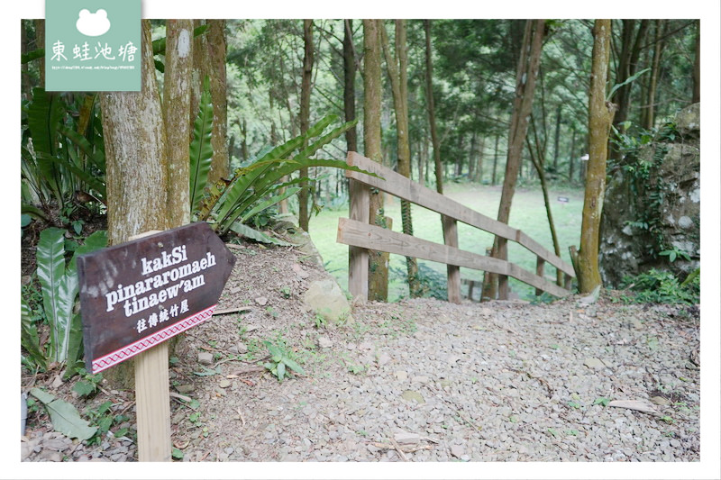 【苗栗南庄免費景點】彷彿走進龍貓森林裡 鵝公髻原生植物園區