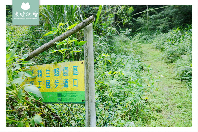 【苗栗南庄免費景點】彷彿走進龍貓森林裡 鵝公髻原生植物園區