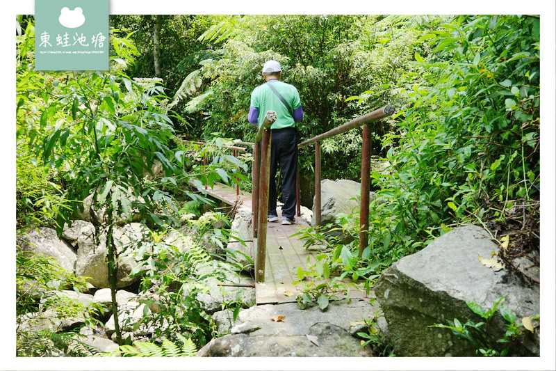 【苗栗南庄免費景點】彷彿走進龍貓森林裡 鵝公髻原生植物園區