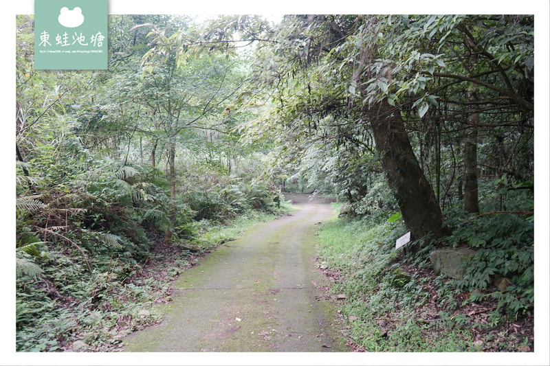 【苗栗南庄免費景點】彷彿走進龍貓森林裡 鵝公髻原生植物園區