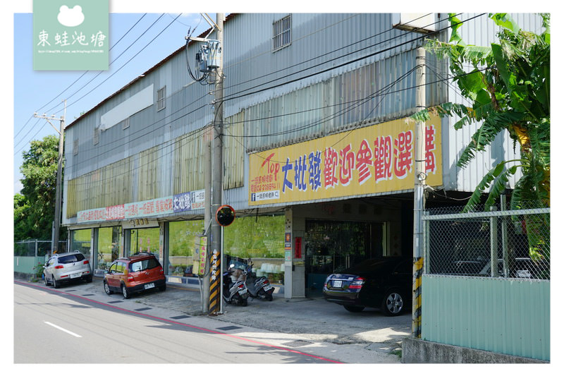 【新北蘆洲燈具批發推薦】台北水晶燈 百坪燈飾展場 上千款燈飾 一流照明燈飾