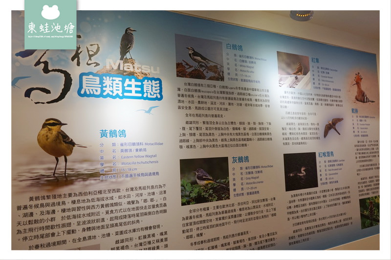 【馬祖南竿室內景點推薦】美國CNN列為世界15大奇景藍眼淚保證看得到 藍眼淚生態館