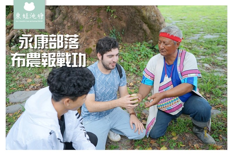 【台東一日遊行程推薦】縱谷原遊會 餐桌上的部落旅行 永康部落 布農八部合音/報戰功/薑黃糯米搗麻糬體驗